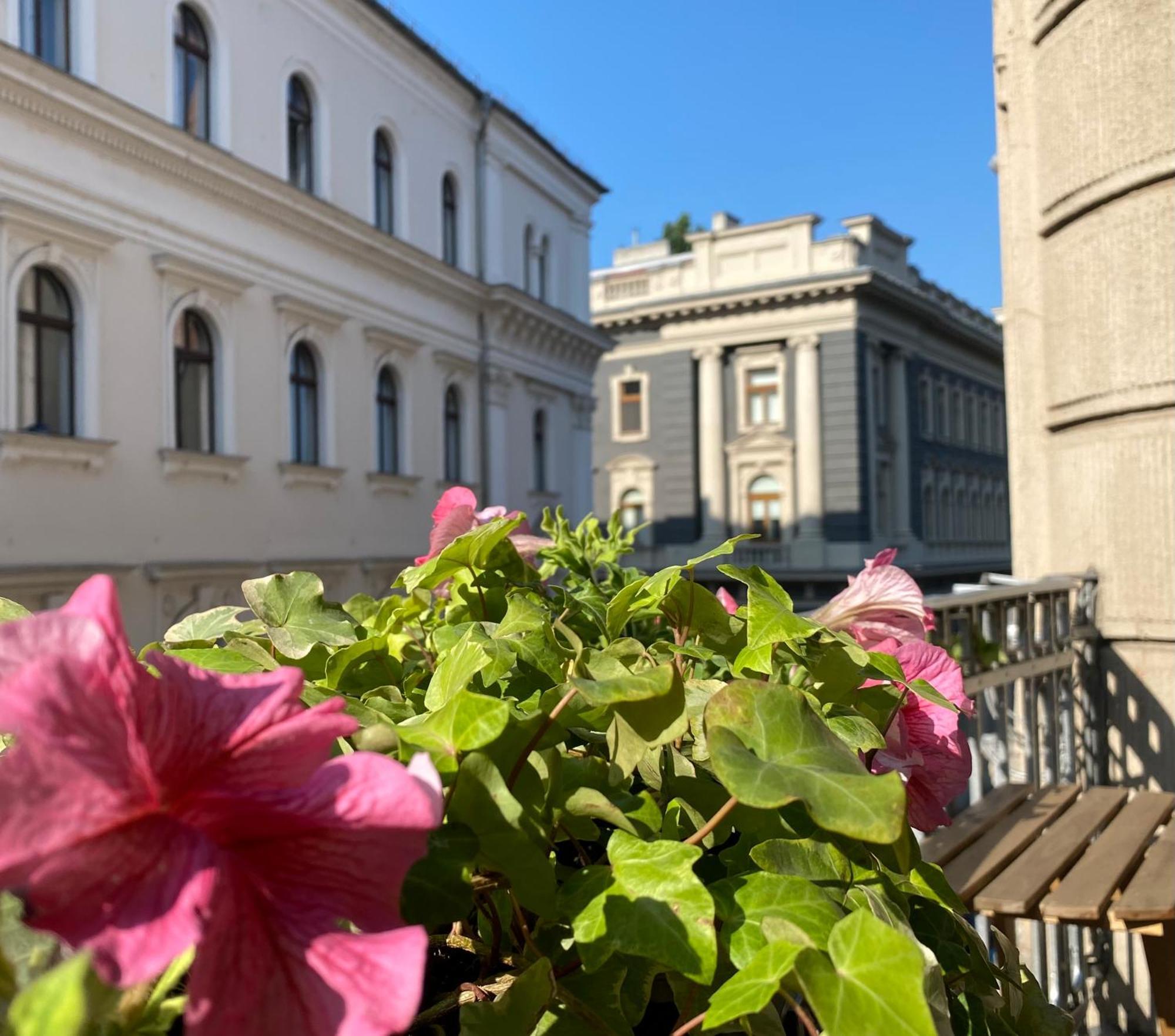 Sunny Near The Castle * Budapeste